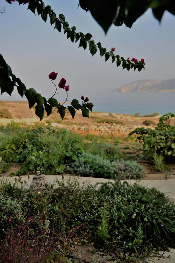 Pambelos Lodge Koufonisia Exteriör bild